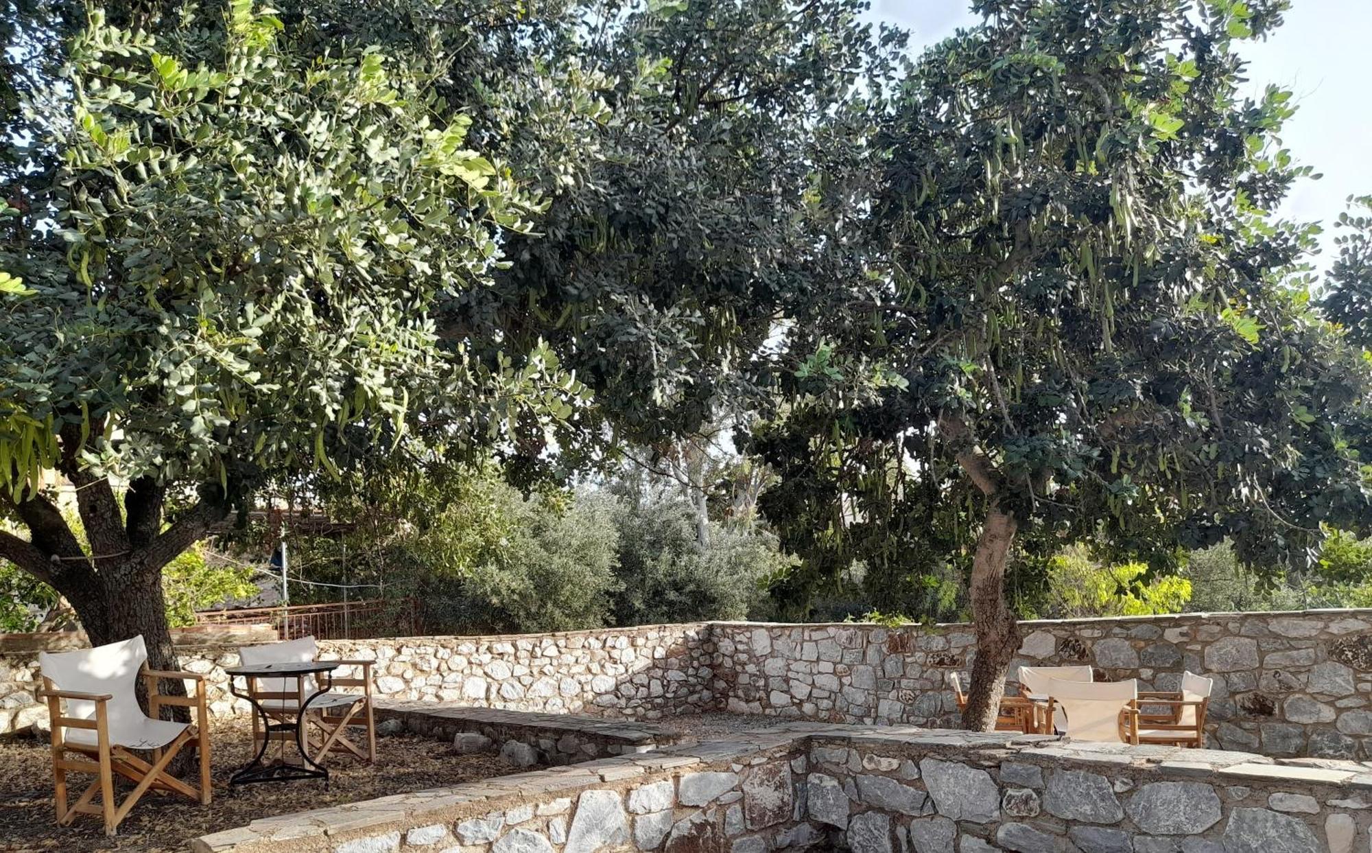 The Two Carob Trees, Traditional Stonehouse, Nikandri, Pirgos Diros Apartment Lefkias Ngoại thất bức ảnh